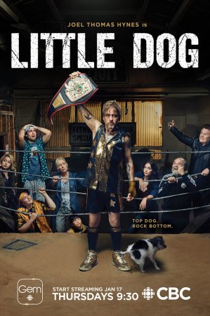 Маленькая собака / Little Dog (2019)