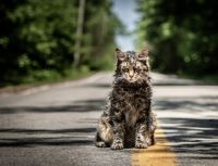 Кладбище домашних животных / Pet Sematary (2019) 