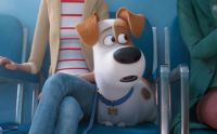 Тайная жизнь домашних животных 2 / The Secret Life of Pets 2 (2019) 