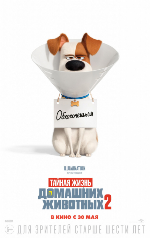 Тайная жизнь домашних животных 2 / The Secret Life of Pets 2 (2019) скачать торрент