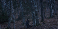 Злой дух / Pyewacket (2019) 