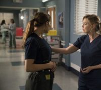 Анатомия страсти / Grey's Anatomy (2019) 