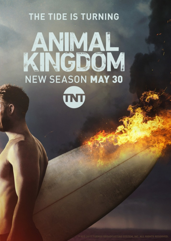 По волчьим законам / Animal Kingdom (2019) скачать торрент