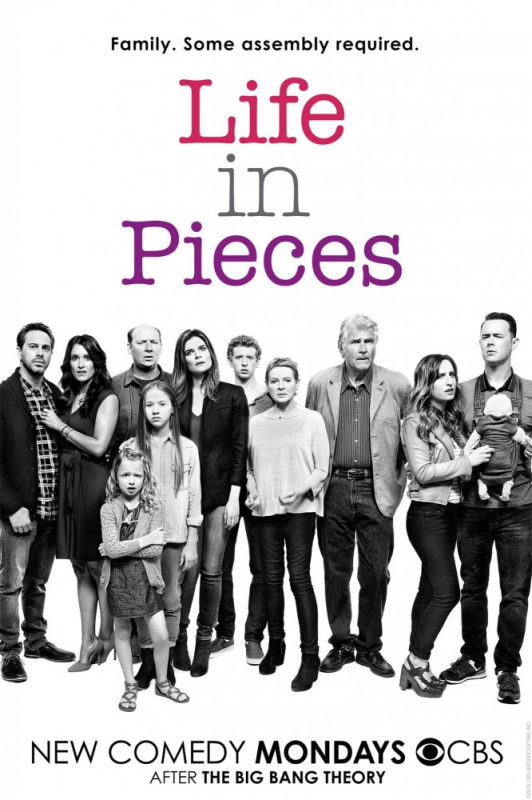 Жизнь в деталях / Life in Pieces (2019)