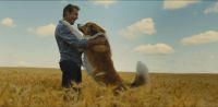 Собачья жизнь 2 / A Dog's Journey (2019) 