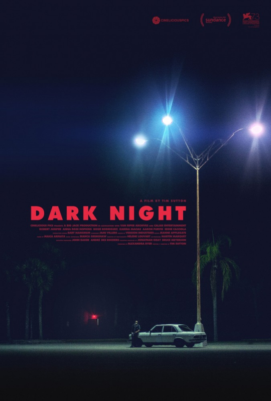 Тёмная ночь / Dark Night (2019)